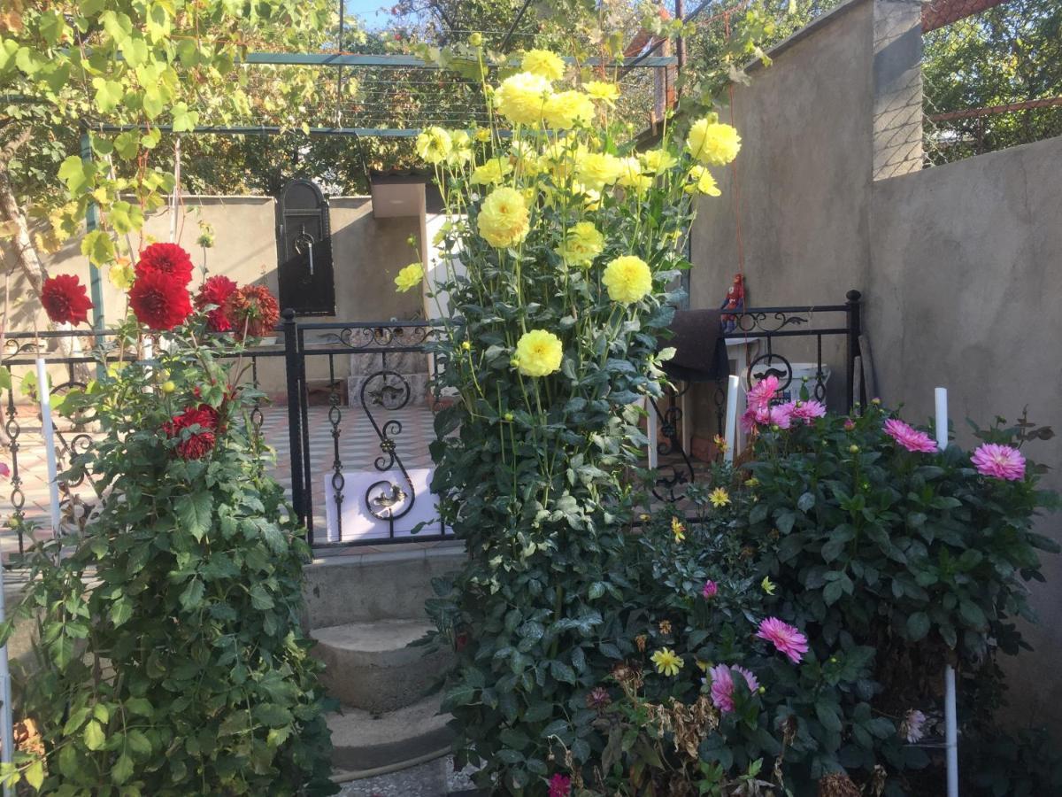 Apartament Sofia Τυφλίδα Εξωτερικό φωτογραφία